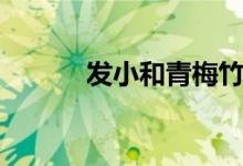 发小和青梅竹马的区别（发小）