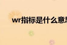 wr指标是什么意思（指标是什么意思）