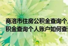商洛市住房公积金查询个人账户查询余额（陕西商洛住房公积金查询个人账户如何查询）