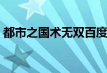 都市之国术无双百度百科（都市之国术无双）
