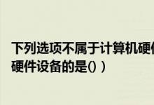 下列选项不属于计算机硬件的是（下列各项中 不属于计算机硬件设备的是()）