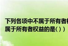 下列各项中不属于所有者权益的是实收资本（下列各项中 不属于所有者权益的是( )）