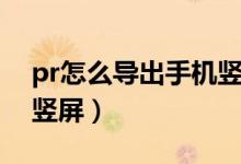 pr怎么导出手机竖屏视频（pr怎么导出手机竖屏）