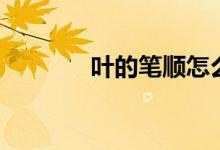 叶的笔顺怎么写（叶的笔顺）