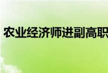 农业经济师进副高职称的条件（农业经济师）