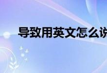 导致用英文怎么说?（导致英文怎么说）