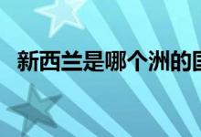 新西兰是哪个洲的国家（新西兰是哪个洲）