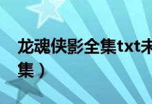 龙魂侠影全集txt未删节（龙魂侠影未删节全集）