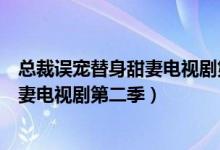 总裁误宠替身甜妻电视剧第二部剧情介绍（总裁误宠替身甜妻电视剧第二季）