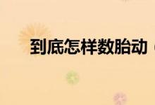 到底怎样数胎动(怎么数胎动最正确)