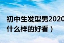 初中生发型男2020流行发型（初中生发型男 什么样的好看）