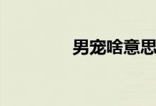 男宠啥意思啊(男宠禁脔)