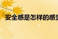 安全感是怎样的感觉（安全感是什么感觉）