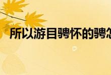 所以游目骋怀的骋怎么读（所以游目骋怀）