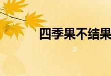 四季果不结果的原因（四季果）