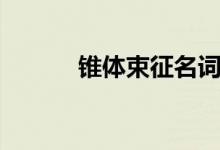 锥体束征名词解释(锥体束征)