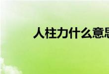 人柱力什么意思网络名词（人柱）