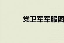 党卫军军服图册(党卫军军服)