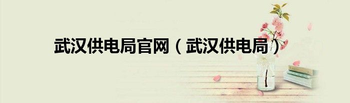 武汉供电局官网（武汉供电局）