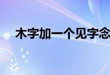 木字加一个见字念什么（木加见念什么）
