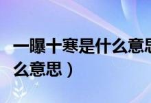 一曝十寒是什么意思打一生肖（一曝十寒是什么意思）