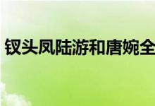 钗头凤陆游和唐婉全句（钗头凤陆游和唐婉）