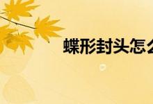 蝶形封头怎么画（蝶形封头）