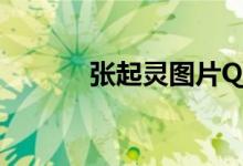 张起灵图片Q版（张起灵图片）