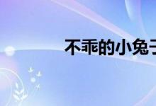 不乖的小兔子（不乖小兔子）