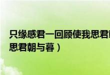 只缘感君一回顾使我思君朝与暮翻译（只缘感君一回顾使我思君朝与暮）