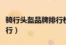骑行头盔品牌排行榜前十名（骑行头盔品牌排行）