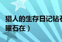 猎人的生存日记钻石在哪（猎人的生存日记黑曜石在）