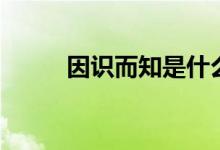 因识而知是什么意思（因识而知）