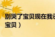 别哭了宝贝现在我已经后悔是什么歌（别哭了宝贝）