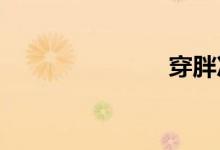 穿胖次的狐狸