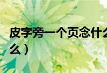皮字旁一个页念什么意思（皮字旁一个页念什么）