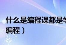 什么是编程课都是学了什么内容视频（什么是编程）