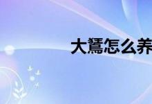 大鵟怎么养（大薸怎么养）