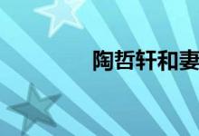 陶哲轩和妻子（陶哲轩死）