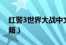 红警3世界大战中文翻译（红警3世界大战秘籍）