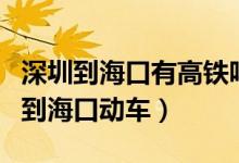 深圳到海口有高铁吗票价多少几个小时（深圳到海口动车）