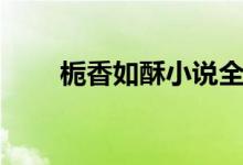 栀香如酥小说全文阅读（栀香如酥）