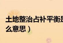 土地整治占补平衡是什么意思（占补平衡是什么意思）