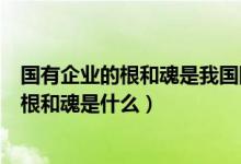 国有企业的根和魂是我国国有企业的什么优势（国有企业的根和魂是什么）