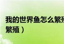 我的世界鱼怎么繁殖下一代(我的世界鱼怎么繁殖)
