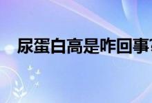 尿蛋白高是咋回事?（尿蛋白高是咋回事）