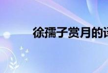 徐孺子赏月的译文（徐孺子赏月）