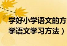 学好小学语文的方法（如何学好小学语文 小学语文学习方法）