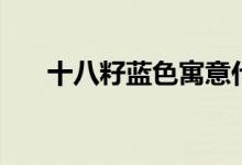 十八籽蓝色寓意什么(蓝色寓意什么)
