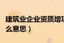 建筑业企业资质增项是什么意思（企业资质什么意思）